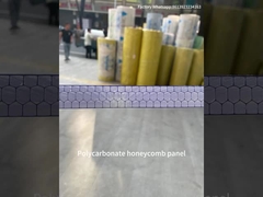 10 мм двойной стенки УФ-блокированный тепличный прозрачный поликарбонатный листок с соломой