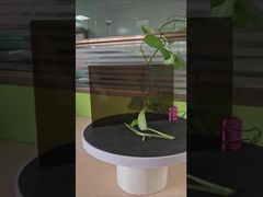 3 мм коричневого твердого поликарбонатного листа