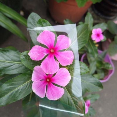 Хорошая цена. Прозрачная 1 мм поликарбонатная фабрикация ПК-карта для оптики или печати однослойный 1 мм онлайн